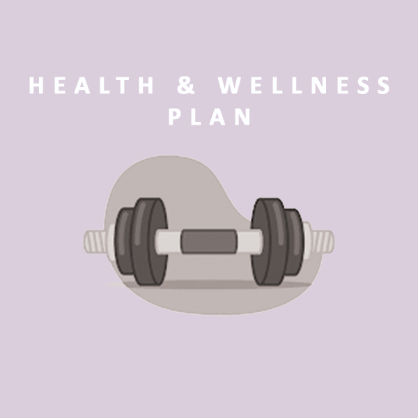 Premium AI Marketing Plan Generator β Wellness & Health Influencer Strategy